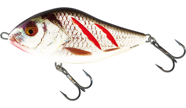 Salmo Slider 10cm