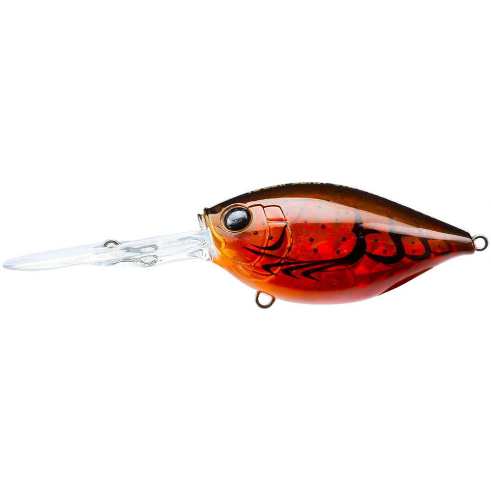 Translucent Brown Crawfish