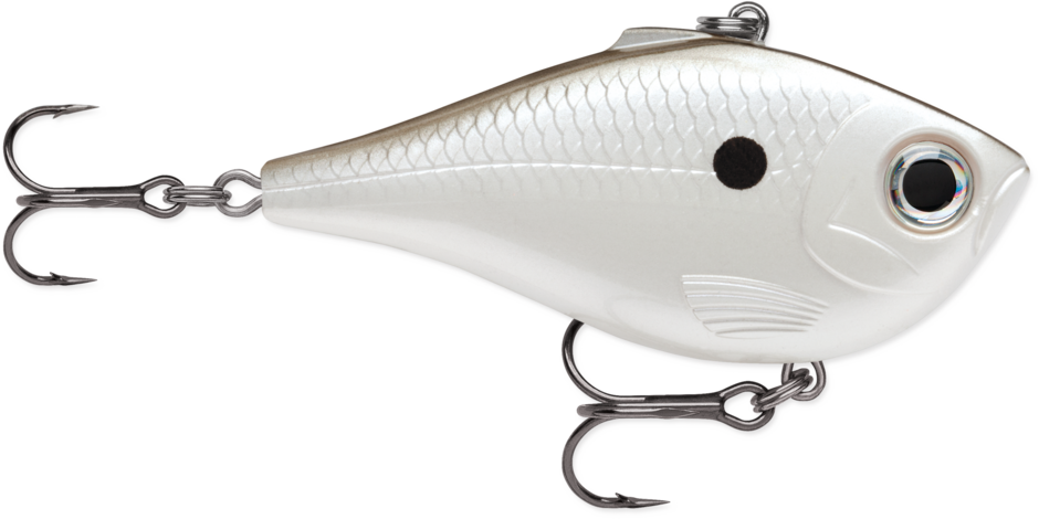 PEARL GREY SHINER