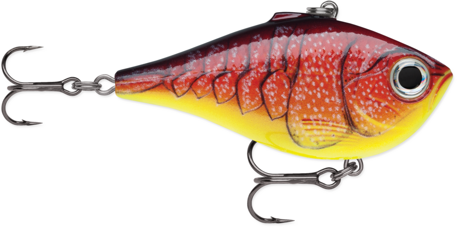 REDFIRE CRAWDAD