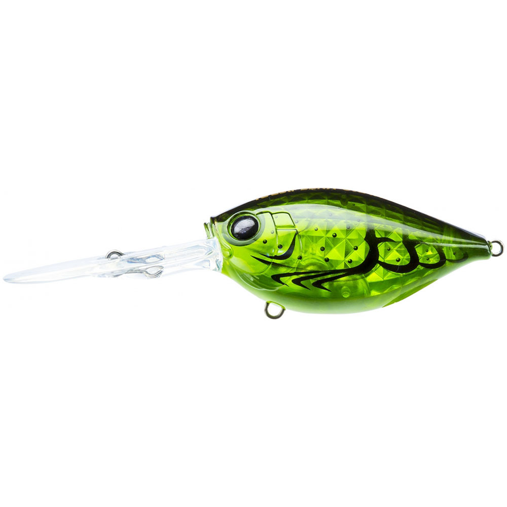 Translucent Green Crawfish