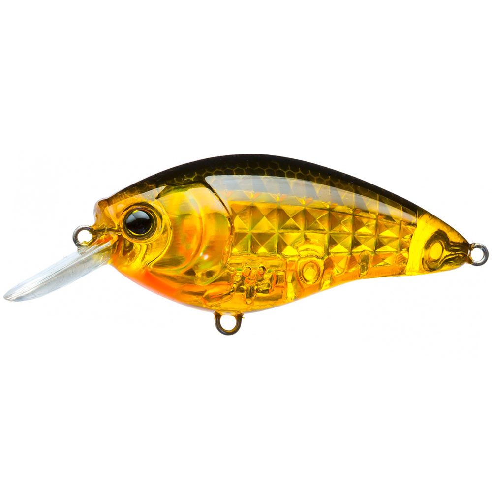 Prism Gold-Black