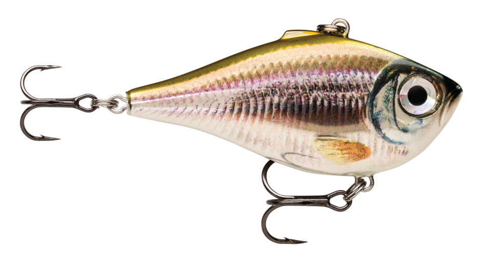 LIVE SMELT