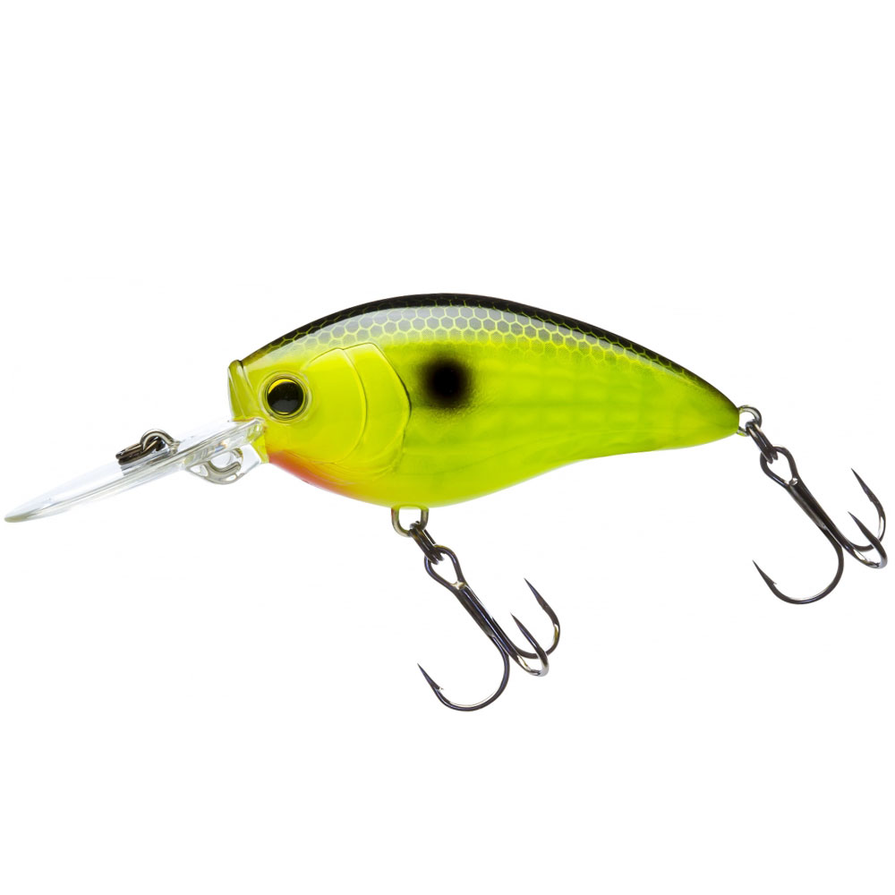 Black Back Chartreuse