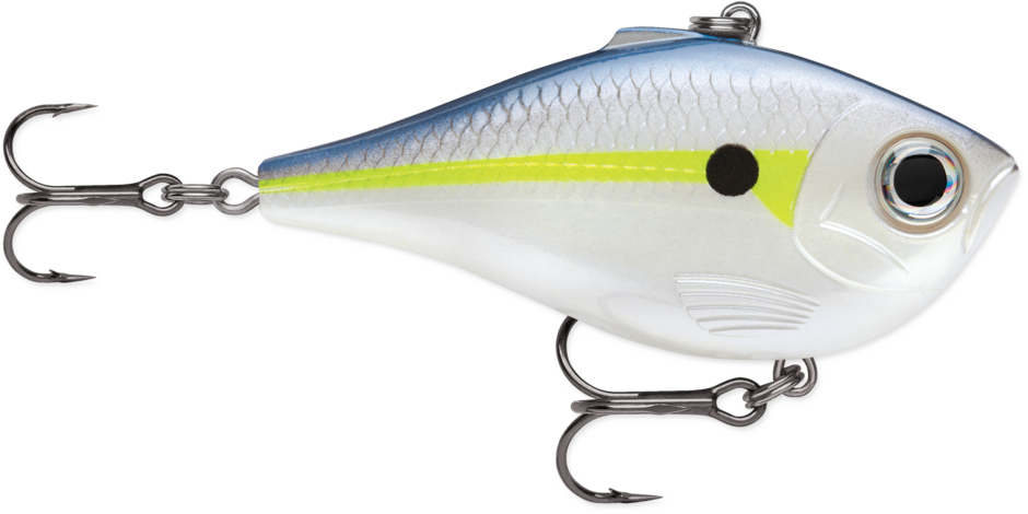 HELSINKI SHAD